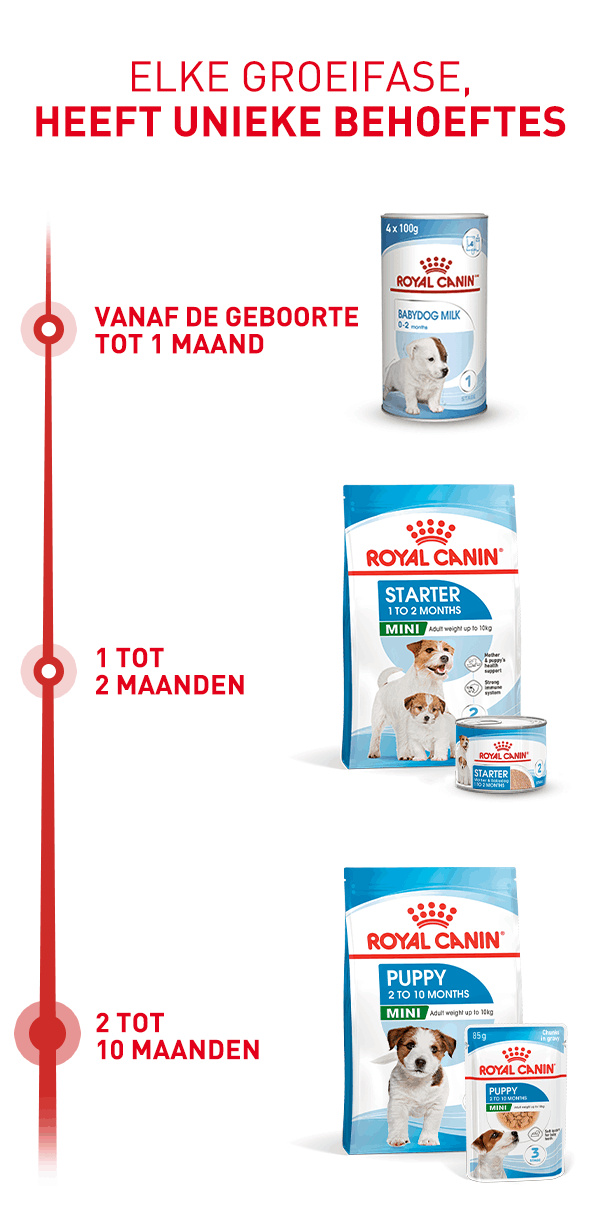 Royal Canin Puppy Mini Dry Groeibehoefte